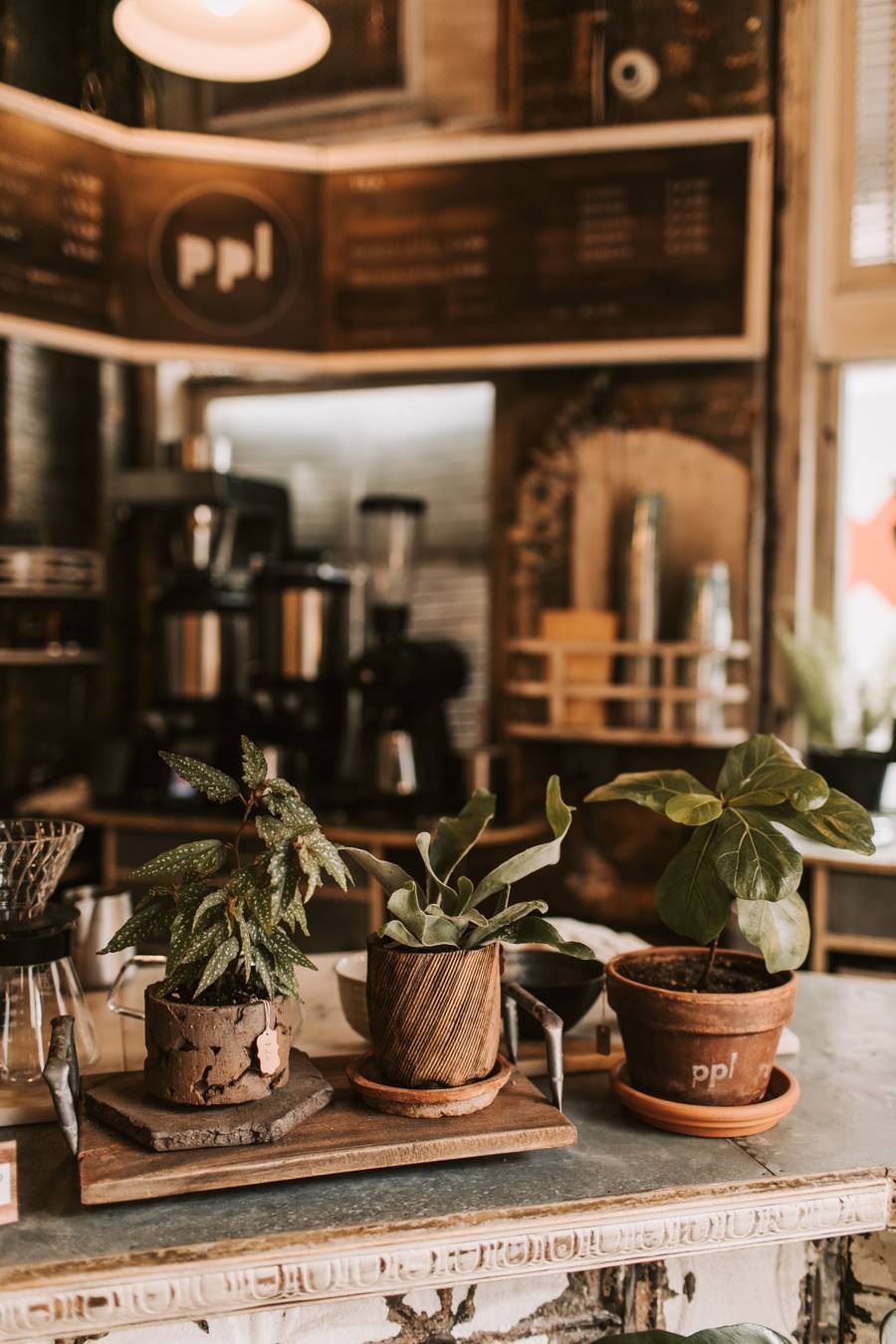 Warm café counter with pastries and coffee