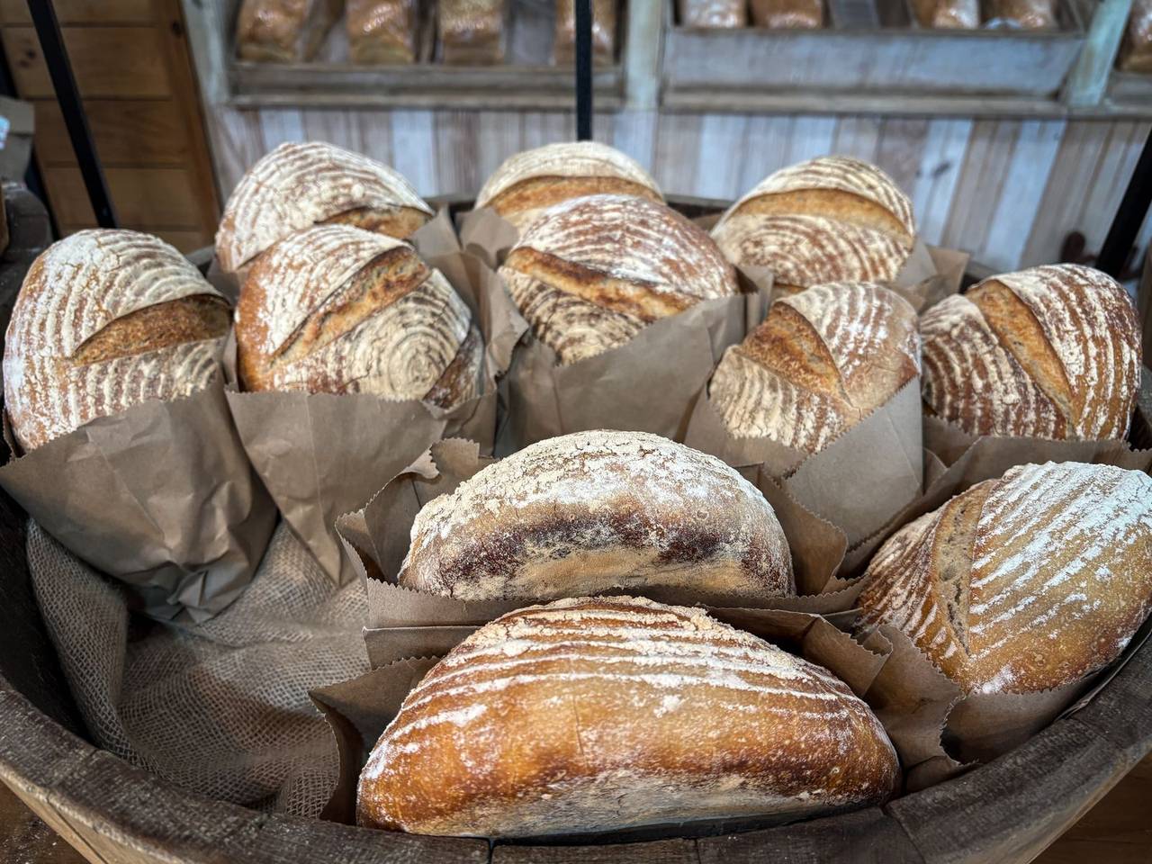 Rustic sourdough loaves cooling in a basket